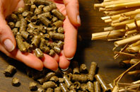 free Riley Green biomass boiler quotes